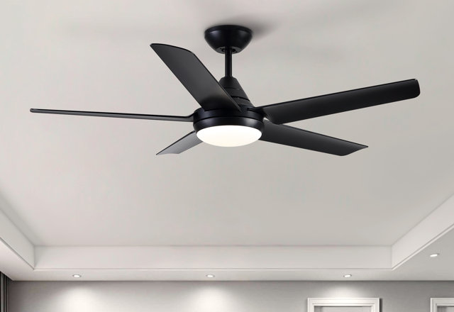 Just for You: Ceiling Fans